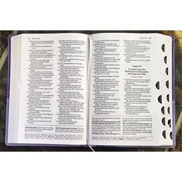 The Amplified Study Bible, Leathersoft, Purple, Thumb Indexed