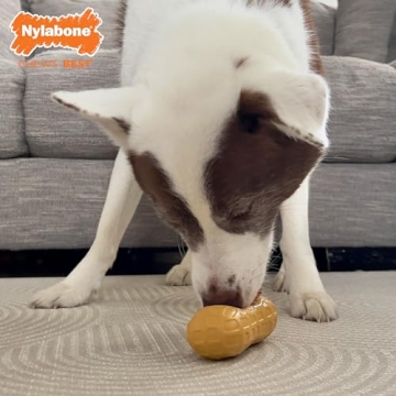Nylabone Strong Chew Fillable Peanut Toy for Dogs