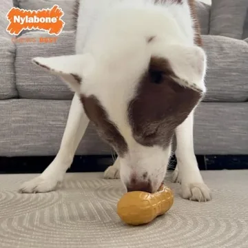 Nylabone Strong Chew Fillable Peanut Toy for Dogs