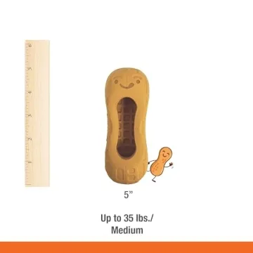 Nylabone Strong Chew Fillable Peanut Toy for Dogs