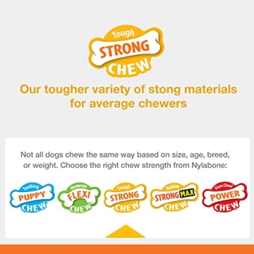 Nylabone Strong Chew Fillable Peanut Toy for Dogs