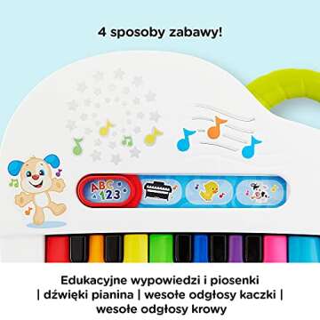 Fisher-Price GFK02 Toy, Multicoloured