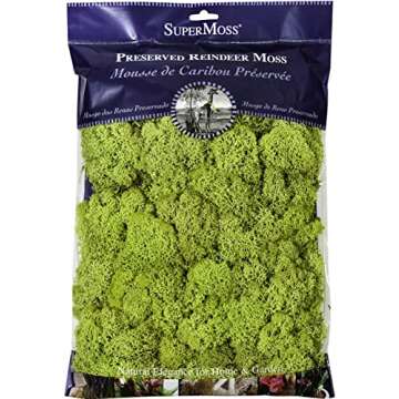 Super Moss Reindeer Moss Preserved Chartreuse 8oz for Home Decor