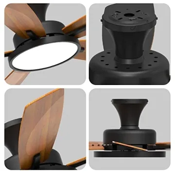 Elegant TALOYA Ceiling Fan with Lights and Remote Control