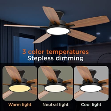 Elegant TALOYA Ceiling Fan with Lights and Remote Control