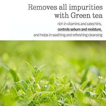 Pyunkang Yul [PKY Deep Clear Cleansing Balm, All in One Facial Cleanser for Heavy Makeup Removal, Moisturized Finish with Plant Based Oil, Korean Skincare (3.38 Fl.Oz, 100ml)