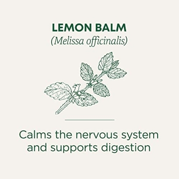 Organic Lemon Balm Herbal Tea for Calming and Digestion