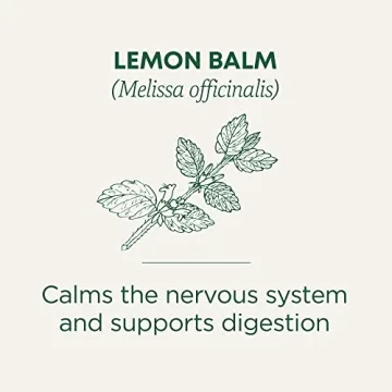 Organic Lemon Balm Herbal Tea for Calming and Digestion