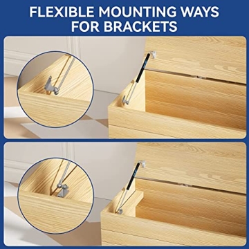 Reliable ARANA Gas Struts for Lids - 100 lbs Lift Max