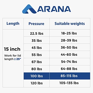 Reliable ARANA Gas Struts for Lids - 100 lbs Lift Max