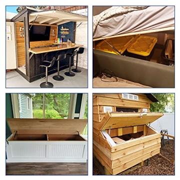 Reliable ARANA Gas Struts for Lids - 100 lbs Lift Max