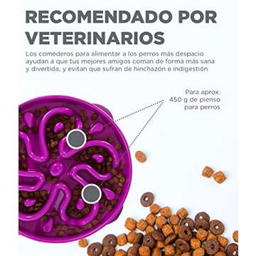 Outward Hound Fun Feeder Slo Bowl, Slow Feeder Dog Bowl, Large/Regular, Purple & Orange