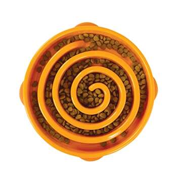 Outward Hound Fun Feeder Slo Bowl, Slow Feeder Dog Bowl, Large/Regular, Purple & Orange