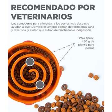 Outward Hound Fun Feeder Slo Bowl, Slow Feeder Dog Bowl, Large/Regular, Purple & Orange