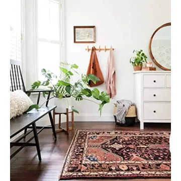 Eden & Co Stylish Wall Mounted Coat Rack for Home