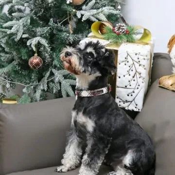 Holiday-Ready ARING PET Christmas Dog Collar for Dogs