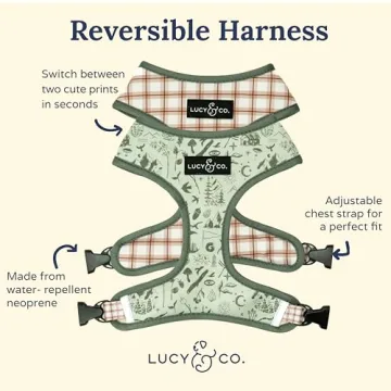 Reversible Designer Dog Harness for Stylish Walks