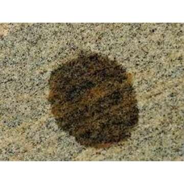 Bio-Clean Products: Hard Water Spot Calcium Stain Remover EXTRA LARGE 40oz