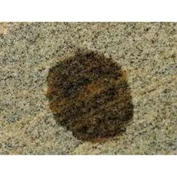 Bio-Clean Products: Hard Water Spot Calcium Stain Remover EXTRA LARGE 40oz