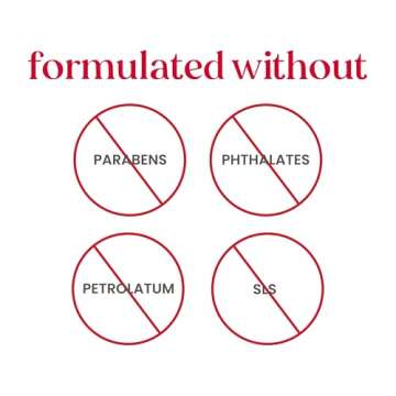 Burt's Bees Detoxifying Charcoal Sheet Mask - Hydrate & Cleanse