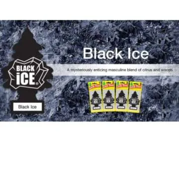 Little Trees Car Air Freshener Black Ice | Hanging Paper Tree | 3 Pack