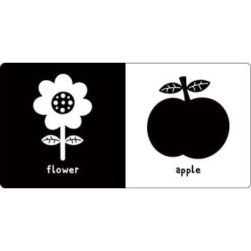 What Does Baby See? High-Contrast Board Book for Infants