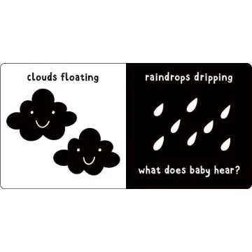 What Does Baby See? High-Contrast Board Book for Infants