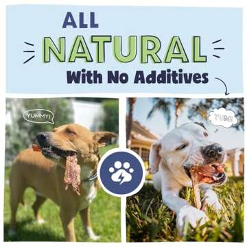 Pawstruck Premium Beef Jerky Dog Treat Chews, 4"-6" Strips – Hip & Joint Health, Naturally Rich in Glucosamine & Chondroitin, No Added Preservatives – 15 Count