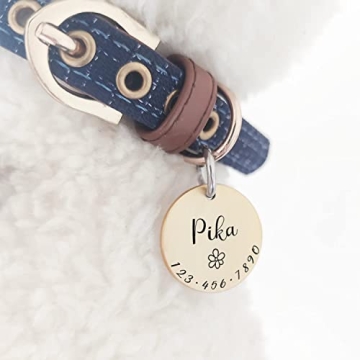 Personalized Shiny Brass Pet Tags for Stylish Identification