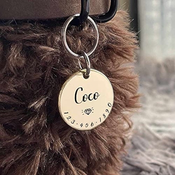 Personalized Shiny Brass Pet Tags for Stylish Identification