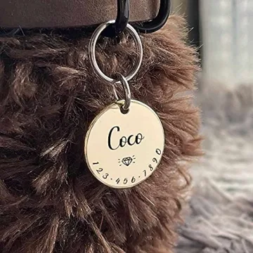 Personalized Shiny Brass Pet Tags for Stylish Identification