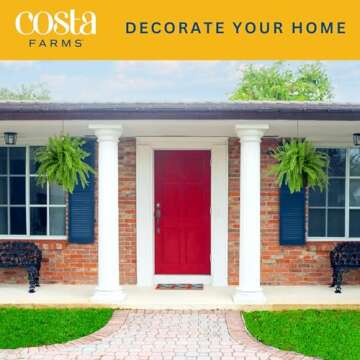 Costa Farms Ferns for Stunning Home Decor and Gifts