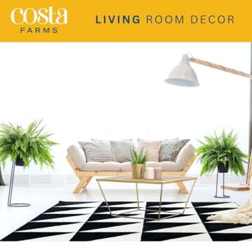 Costa Farms Ferns for Stunning Home Decor and Gifts