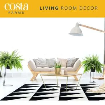 Costa Farms Ferns for Stunning Home Decor and Gifts