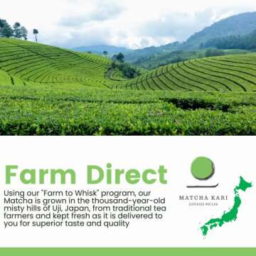 Dr. Weil Organic Japanese Matcha Green Tea Sticks & Culinary Bundle