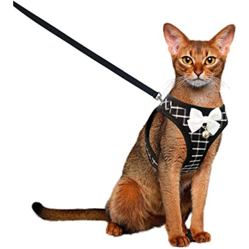 Aumuca Cat Harness and Leash - Escape Proof & Stylish