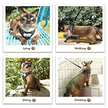 Aumuca Cat Harness and Leash - Escape Proof & Stylish