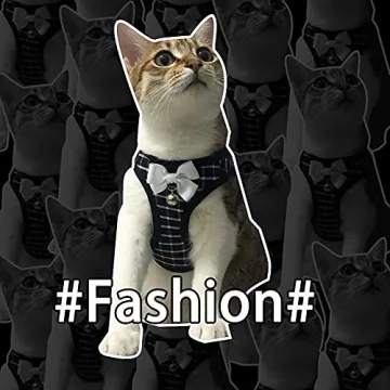 Aumuca Cat Harness and Leash - Escape Proof & Stylish