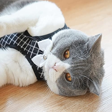 Aumuca Cat Harness and Leash - Escape Proof & Stylish