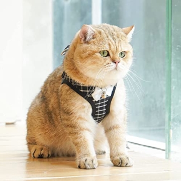 Aumuca Cat Harness and Leash - Escape Proof & Stylish