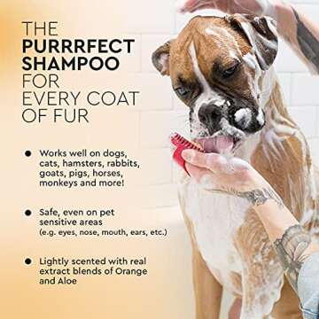 Puracy Pet Shampoo - 16fl.oz, 2-in-1 Shampoo and Conditioner for Dogs, Cats, Household Pets - Aloe & Oatmeal Scent, Anti-Itch, Natural Smelling Dog Shampoo for Shiny Coats & Odor Elimination