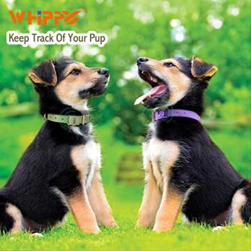 AirTag Leather Dog Collar WHIPPY Padded Apple Air Tag Dog Collar Adjustable Puppy Dog Collar with AirTag Holder Case for Small Medium Large Dog Pet,Green,L