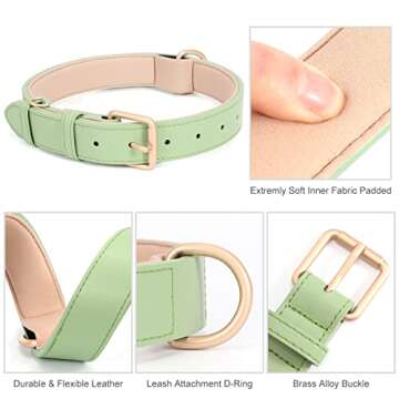 AirTag Leather Dog Collar WHIPPY Padded Apple Air Tag Dog Collar Adjustable Puppy Dog Collar with AirTag Holder Case for Small Medium Large Dog Pet,Green,L