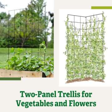 Gardener's Company Folding Trellis for Climbing Plants Support