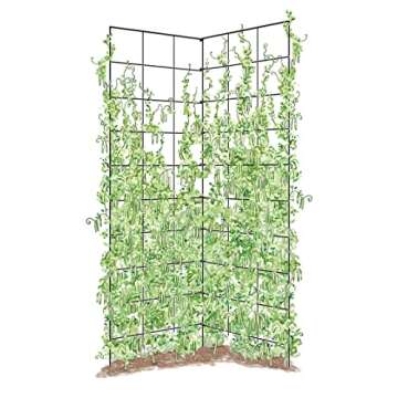 Gardener's Company Folding Trellis for Climbing Plants Support