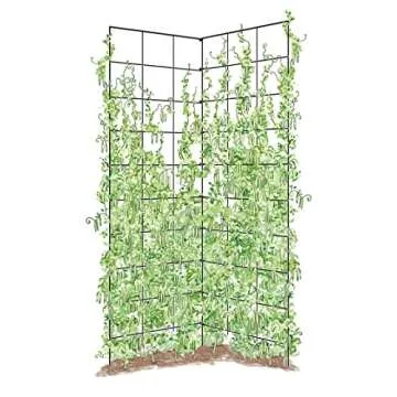 Gardener's Company Folding Trellis for Climbing Plants Support