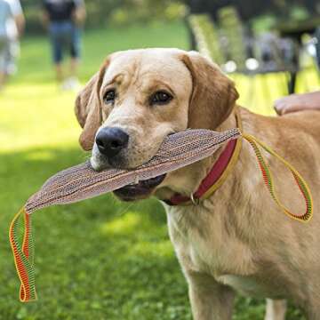 GrayCell Dog Training Canvas Toy, Durable Bite Tug of War Interactive Play Toy for Medium Large Dogs