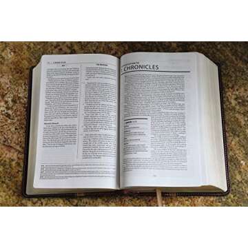 NIV, The Message, Parallel Study Bible, Leathersoft, Brown: Two Bible Versions Together with NIV Study Bible Notes