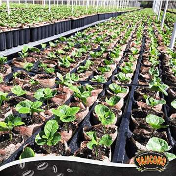 Yaucono Ground Coffee Bagged, 14 Ounce (Pack of 2)