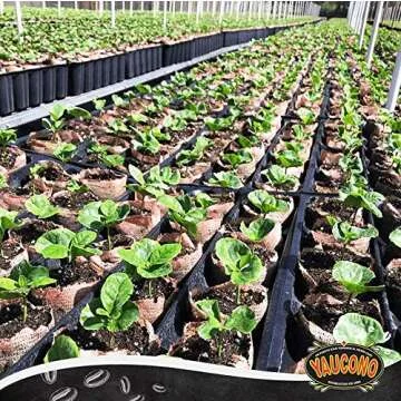 Yaucono Ground Coffee Bagged, 14 Ounce (Pack of 2)